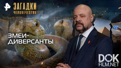 Загадки человечества с Олегом Шишкиным. Змеи-диверсанты (01.10.2025)