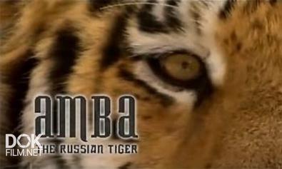 Амба. Русский Тигр / Amba. The Russian Tiger (2008)