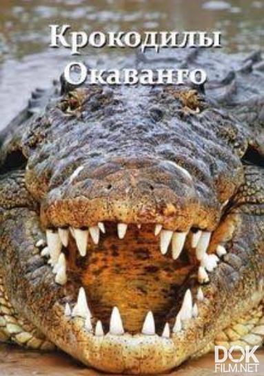 Крокодилы Окаванго/ Crocodiles of the Okavango (2026)