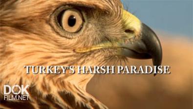 Дикая Турция / Суровый Рай Турции / Turkey\'S Harsh Paradise (2015)