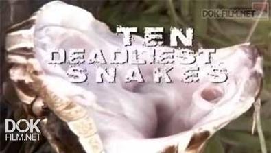 Самые Опасные Змеи С Найджелом Марвином / Ten Deadliest Snakes With Nigel Marven (2014)