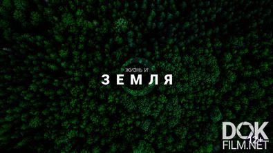 Жизнь и Земля/ Life & The Earth (2025)