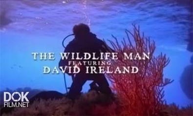 Чудеса Дикой Природы С Дэвидом Айрлендом / The Wildlife Man Featuring David Ireland (2011)