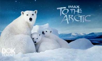 Арктика 3d / To The Arctic 3d (2012)