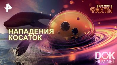Безумные факты. Нападения косаток (2026)