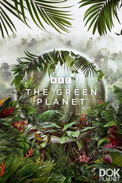 Зелёная планета/ The Green Planet (2022)
