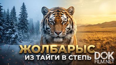 Жолбарыс. Из тайги в степь (2026)