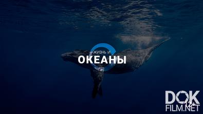 Жизнь и Океаны/ Life & The Oceans (2025)