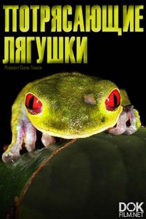 Потрясающие лягушки/ Fabulous Frogs (2014)
