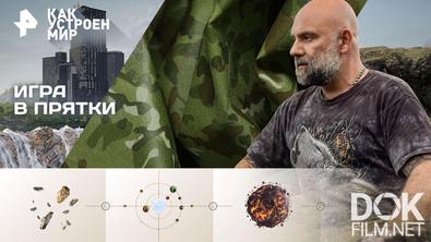 Как устроен мир с Тимофеем Баженовым. Игра в прятки (13.03.2026)