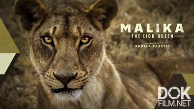 Малика - королева львов/ Malika: The Lion Queen (2022)