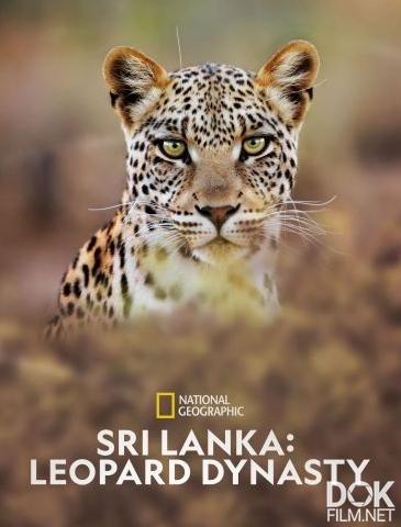 Шри-Ланка: династия леопардов/ Sri Lanka: Leopard Dynasty (2022)