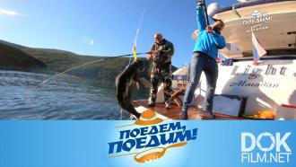 Поедем, поедим! Магадан: рыбалка в Охотском море, встреча с медведем, гастрономический покер и кушияки в голубичном соусе (2022)
