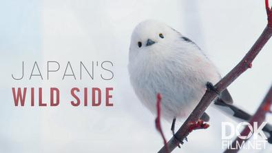 Дикая Япония/ Japan's Wild Side (2025)