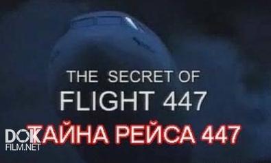 Тайна Рейса 447 / The Secret Of Flight 447 (2012)