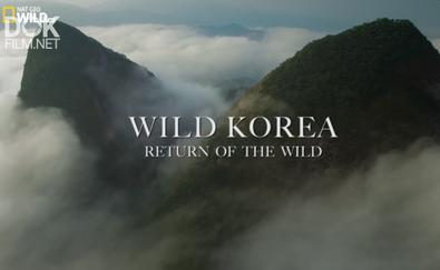 Дикая Корея/ Wild Korea Return Of The Wild (2018)