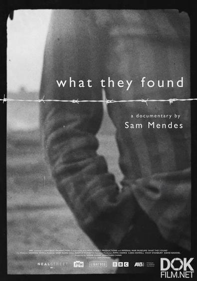 Что они увидели/ What They Found (2025)