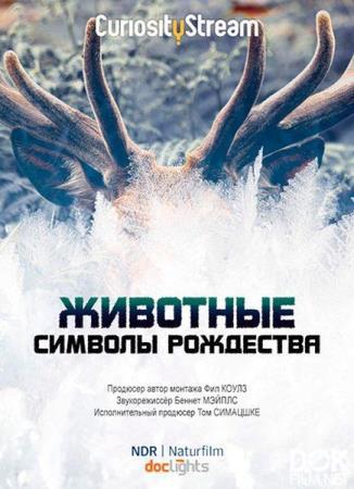 Животные-символы Рождества/ Wild Christmas (2020)