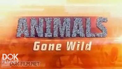 Животные Без Правил / Animals Gone Wild (2014)