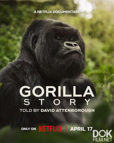 История гориллы: Рассказ Дэвида Аттенборо/ A Gorilla Story: Told by David Attenborough (2026)
