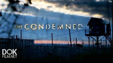 Осужденные: «черный Беркут» / The Condemned (2016)