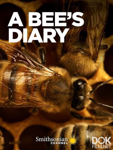 Жизнь пчелы/ A Bee's Diary (2020)