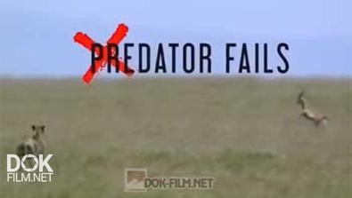 Неудачи Хищников / Predator Fails (2015)