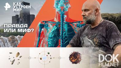 Как устроен мир с Тимофеем Баженовым. Правда или миф? (14.04.2026)