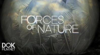 Силы Природы / Forces Of Nature (2016)