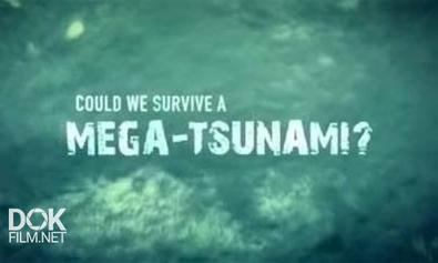 Переживем Ли Мы Мегацунами? / Could We Survive A Mega-Tsunami? (2013)