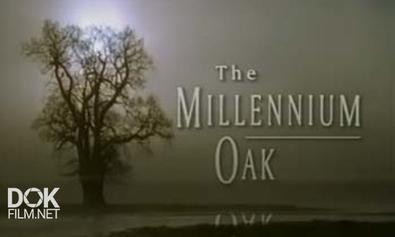 Тысячелетний Дуб / The Millenium Oak (2002)