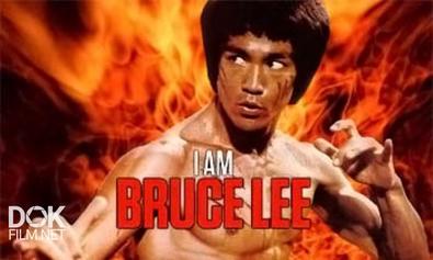 Я – Брюс Ли / I Am Bruce Lee (2011)