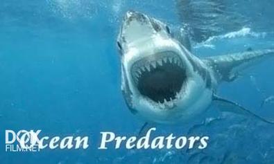 Хищники Океанов / Ocean Predators (2013)