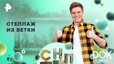 Самая народная программа. Стеллаж из ветки (2026)