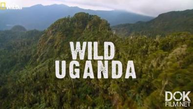 Дикая Уганда/ Wild Uganda (2018)