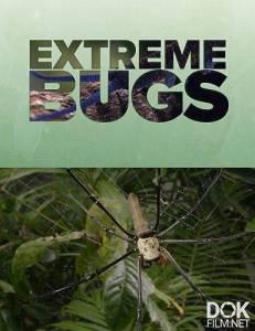 Экстремальные насекомые/ Extreme Bugs (2024)