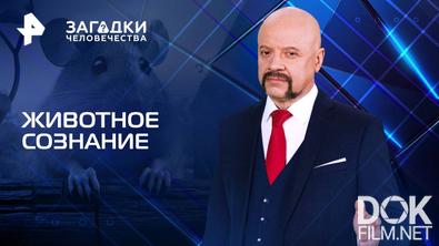 Загадки человечества с Олегом Шишкиным. Животное сознание (11.08.2025)
