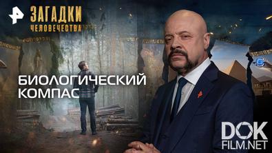 Загадки человечества с Олегом Шишкиным. Биологический компас (29.10.2025)