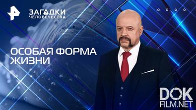 Загадки человечества с Олегом Шишкиным. Особая форма жизни (04.08.2025)