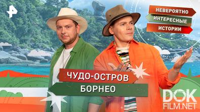 Невероятно интересные истории. Чудо-остров Борнео (04.02.2026)