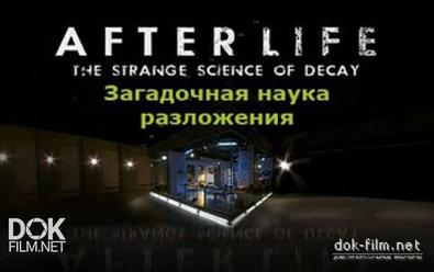 После Смерти. Загадочная Наука Разложения / After Life. The Strange Science Of Decay (2012)