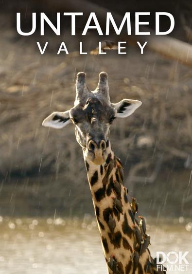 Дикая долина/ Untamed Valley (2017)