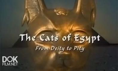 Кошки Египта. От Божества До Убожества / The Cats Of Egypt. From Deity To Pity (2004)