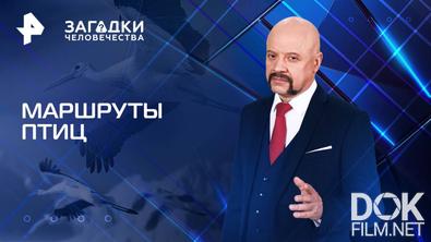 Загадки человечества с Олегом Шишкиным. Маршруты птиц (21.05.2025)