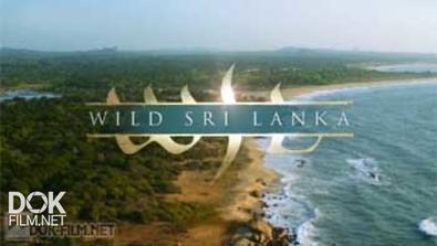 Дикая Шри-Ланка / Wild Sri Lanka (2014)