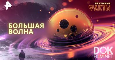 Безумные факты. Большая волна (2025)