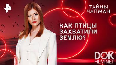 Тайны Чапман. Как птицы захватили Землю? (16.06.2025)