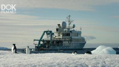 200 Лет Антарктической Экспедиции. Специальный Репортаж (2020)