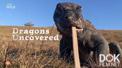 Вся правда о драконах (Драконы наяву)/ Dragons Uncovered (2024)