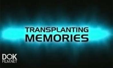 Трансплантация Памяти / Transplanting Memories (2003)